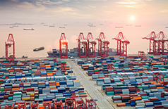 整箱出口貨運服務